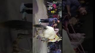 VID 20200302 200446