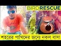 Tree planting and rescue the birds for stop global warming  samrat vlog  5