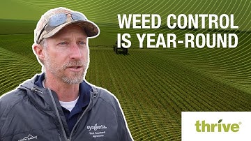 Weed Control is Year-Round