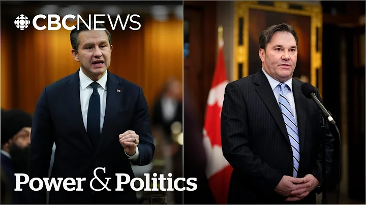 'If I were Mr. Poilievre I'd be deeply concerned': Interim NDP leader | Power & Politics