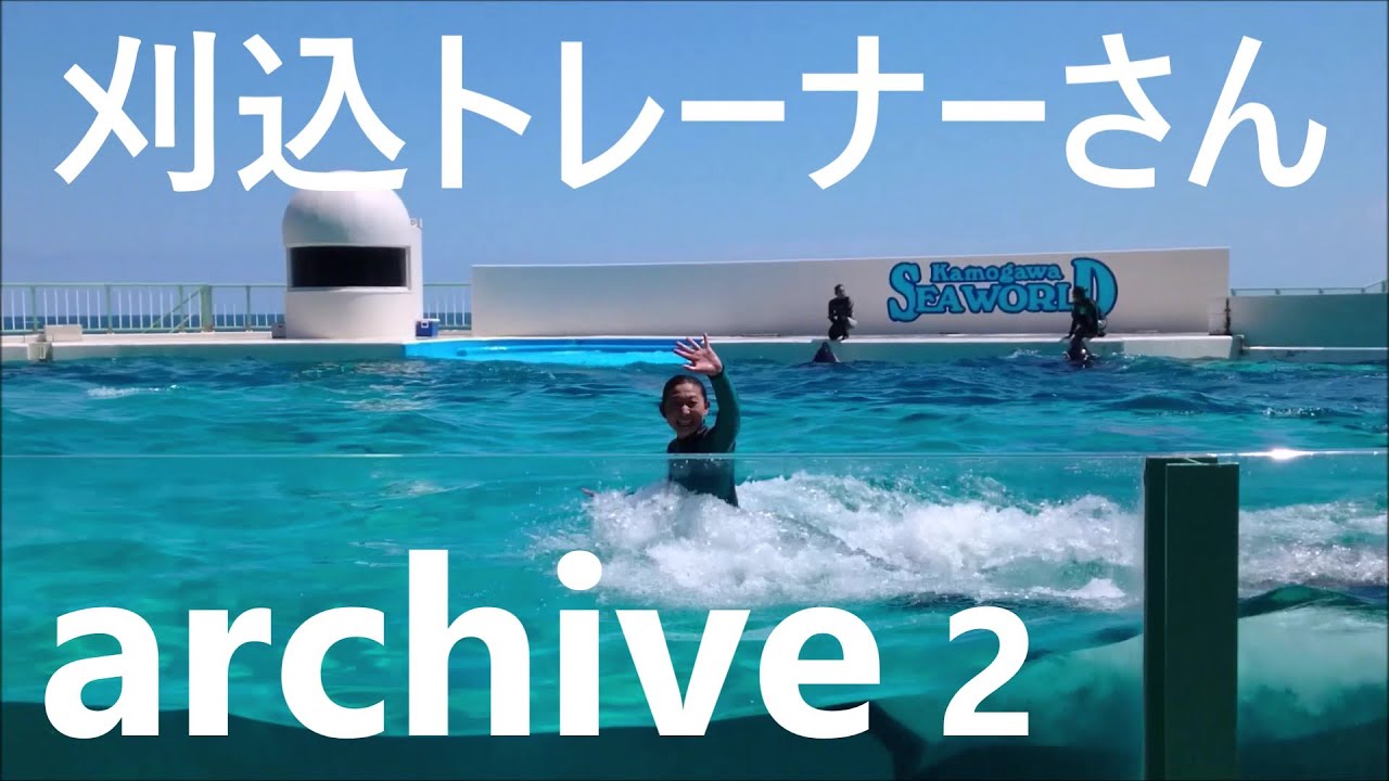 鴨川シーワールドのシャチトレーナー 刈込さんアーカイブ２ Orca Performance