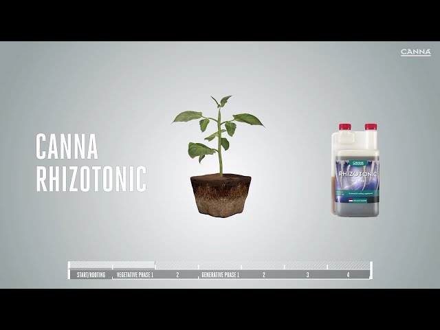 Watch (South Africa) CANNA RHIZOTONIC on YouTube.