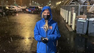 Snow in Champaign