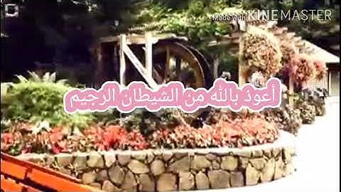 (( ومن آياته ان خلقكم من تراب .. )) ما تيسر من سورة الروم بــ مقام الكرد || للقارئ عزوز التميزي