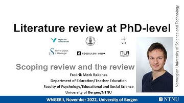 Scoping review and review process