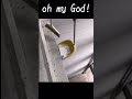 ああ神様。この後どうしたらいいのでしょうか? #duet #god #india #funny #study