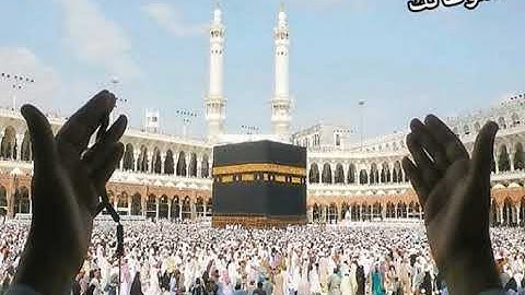 سورة النَّحل - ماهر المعيقلى - تلاوة رائعه - جوده عالية - Surat Al Nnahl - Maher Al Moaieqli