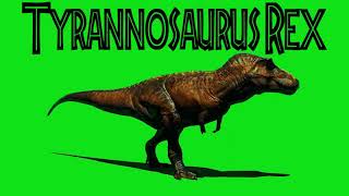 Tyrannosaurus Rex - Sound and Green Screen Animation