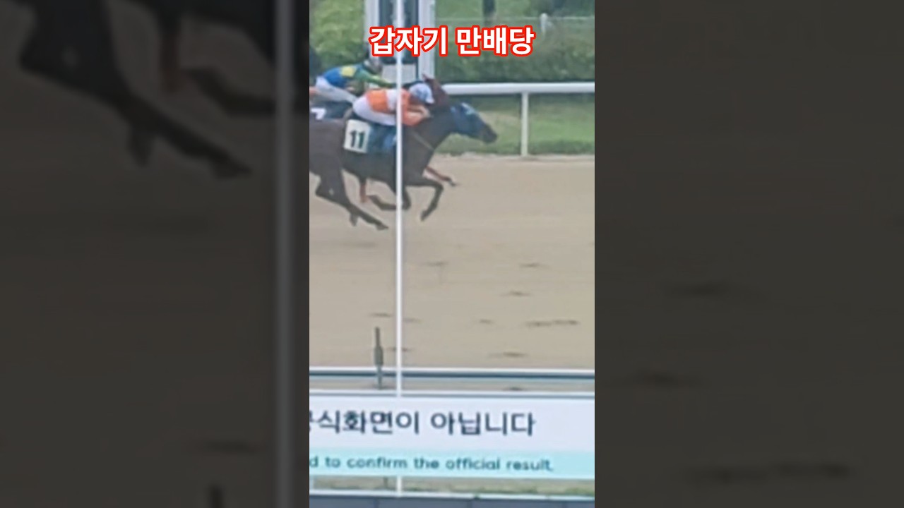 헐11놓고도 못마추다니~# 경마 #말 #달려라말 #shorts