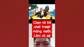 capybara và bà chơi trượt máng nước bà sợ... #capybara #funny