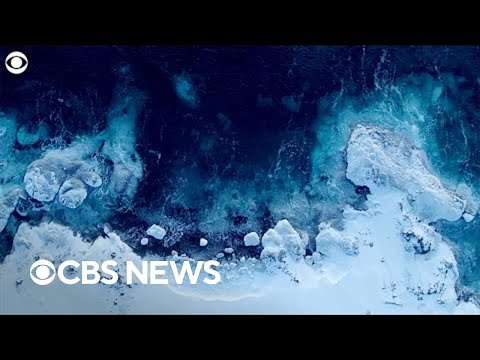 The Arctic is warming nearly four times faster than rest of the planet, new research shows.