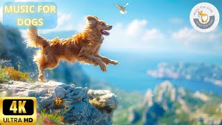 Music for Dogs Who are Alone! 8 Hours Dog TV 4K & Cure Separation Anxiety of Dogs With Relax Music