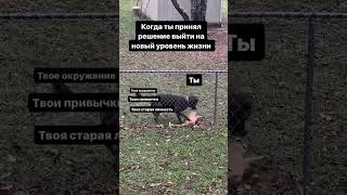 Выход На Новый Уровень Жизни Станет Легким Для Тебя, Если