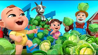 Baby Lala's Helping Song | Lalafun Nursery Rhymes