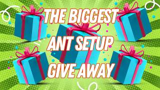 The Big Ant Setup Give Away