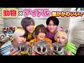 【ピザトル×リアルピース】