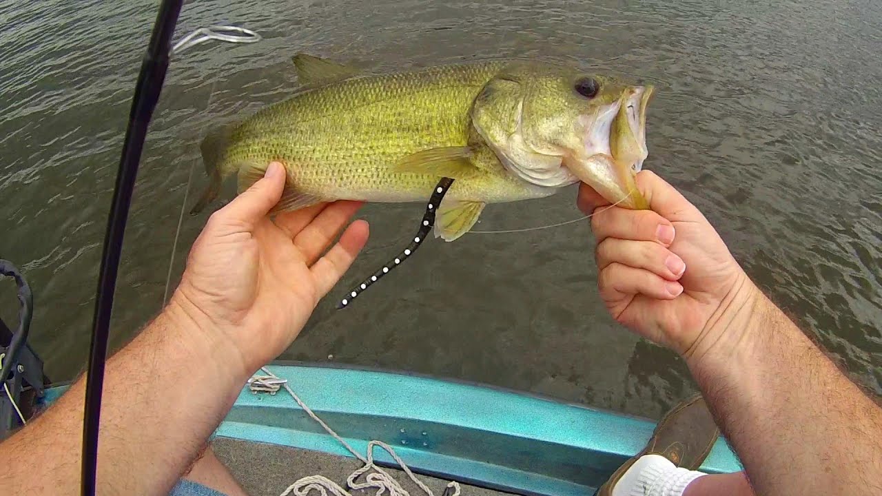 Fishing Creme Worms