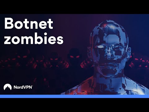 Video: Is botnet 'n woord?