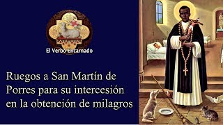 Ruego a San Martín de Porres - Petición de Milagros - Oraciones Milagrosas - El Verbo Encarnado screenshot 5