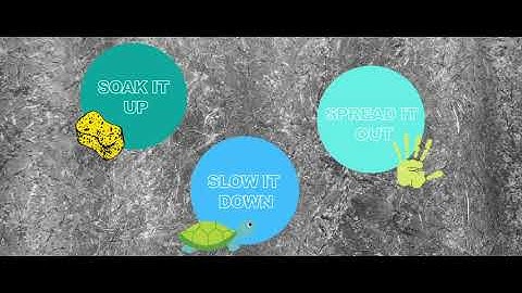 CWEP Introduction to Stormwater Runoff Video