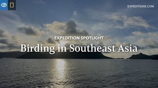 Birding In Southeast Asia | Expedition Spotlight | Lindblad Expeditions