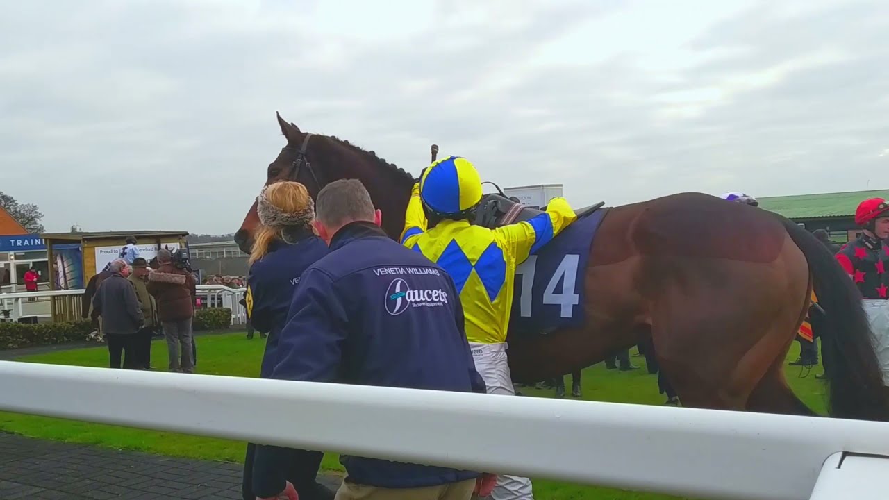 A Day at Hereford Racecourse