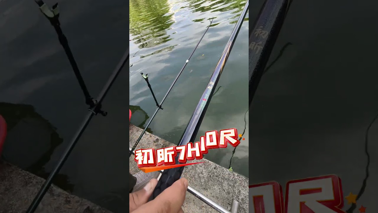 新手竿遇到大物#池釣狂熱#初昕7H300#福壽竿#大烏鰡#湖口老彭魚池 @cdkr 縮圖