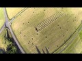 Let's Make Hay | Roseburg, Oregon Let's Make Hay | Roseburg, Oregon