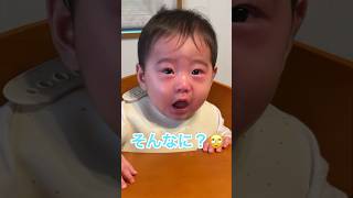 生後７ヶ月の赤ちゃんが初めて納豆を食べた結果