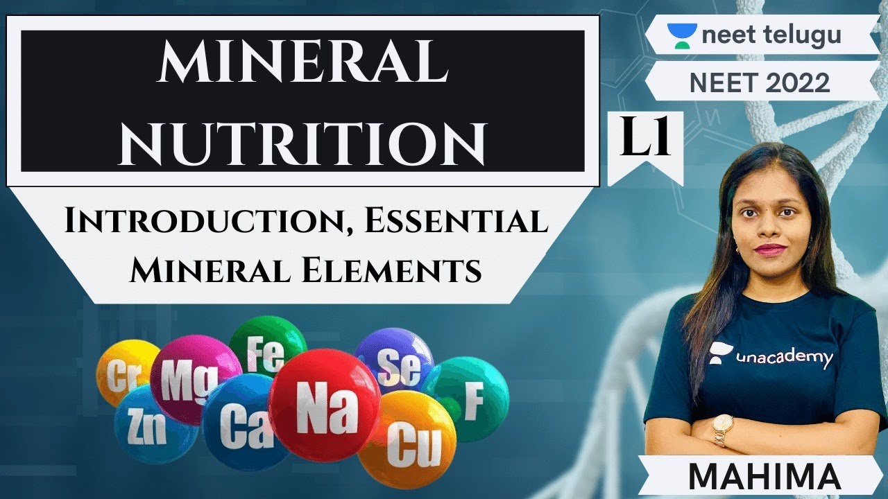 NEET Telugu Mineral Nutrition L1 NEET 2022 Mahima Ma'am YouTube