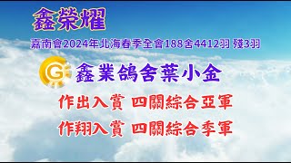 [預告]亞軍‧季軍‧葉小金！鑫業鴿舍　2024年春季嘉義北海的鑫挑戰、鑫鴿舍、鑫榮耀... #強豪 #養鴿 #賽鴿 #種鴿 #育種 #pigeon #魔星 #中野 #金牌紀錄鴿族 #2100賽鴿王