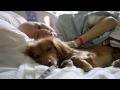 "Pawsitive Pals" San Diego Hospice Pet Therapy Program