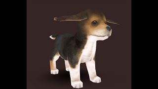 Nintendogs + Cats Gold Junior Cup Speedrun in 5:31 by JustFive (WR)