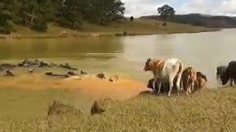 Đường đến cây thông cô đơn Đà Lạt bằng xe máy