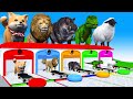 5 Giant Duck, Monkey, lion, dog,T rex, Hippo, Sheep, Transfiguration funny animal 2023