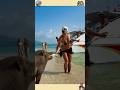 Rescue Mission: Tiny Life Saved 🐾 | Emotional Animal Rescue #shorts