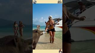 Rescue Mission: Tiny Life Saved 🐾 | Emotional Animal Rescue #shorts