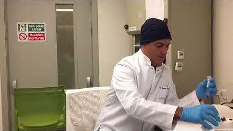 Conventional Cytogenetics Chromosome Preparation Brief Workflow