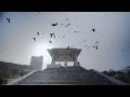 All That Breathes | Clip | NYFF60
