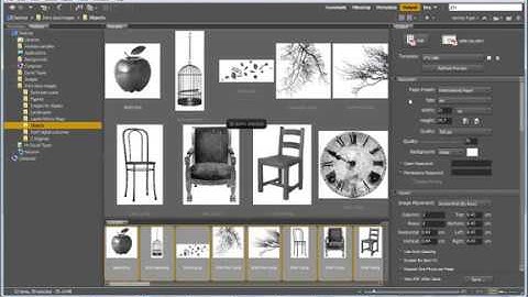 How to make a contact sheet using Adobe Bridge