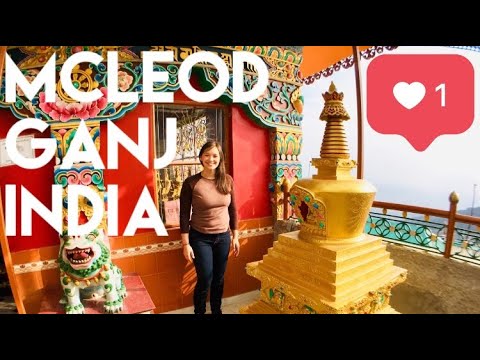 Video: Mcleod Ganj: sede della comunità tibetana in India