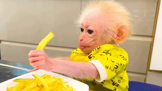 Bibi helps Dad cook super delicious french fries