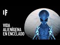 ¿Qué pasaría si encontráramos vida extraterrestre en Encélado?