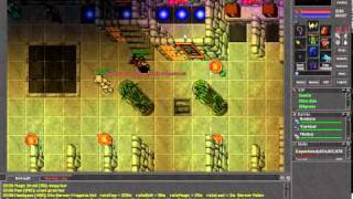 Tibia 2010 09 08 22 28 32 18