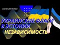 Украинские флаги в Эстонии. Потеря независимости.