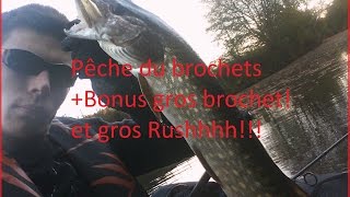 EP 8 Pêche du brochet au leurre souple (anguille et one up)+Bonus gros brochet !!!