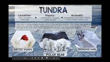 Rocks and Minerals Google Slides Video PREVIEW (Interactive)