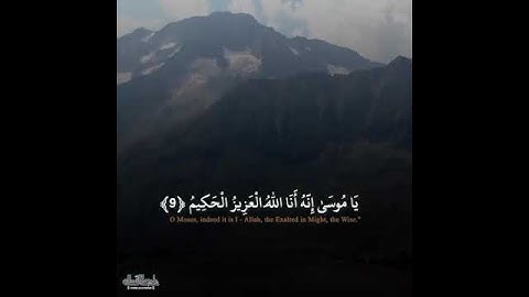قرآن كريم بصوت ناصر القطامي |  حالات واتس اب دينية