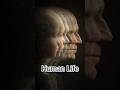 Life #shorts #viral #shortvideo #life #music
