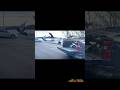 First 10 Mile Racing Pigeon Toss -[Albert Walta]